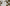 賃貸の入居日にやること10選｜順番付きチェックリストと当日の手続き完全ガイド【2026年版】