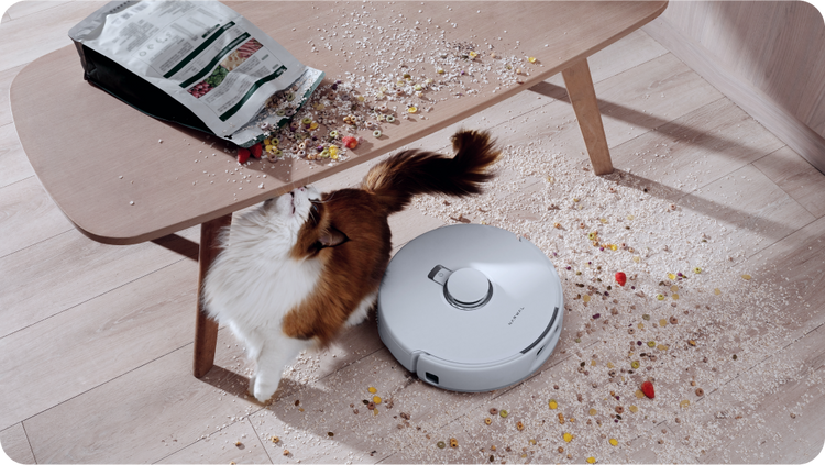 Frame_128818494_12537410-a92c-4a21-bec7-3380870b4f06