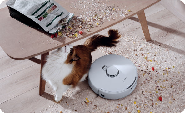 Frame_128818495_4eca58a5-ac3e-4320-98dd-7718c61b4d1b