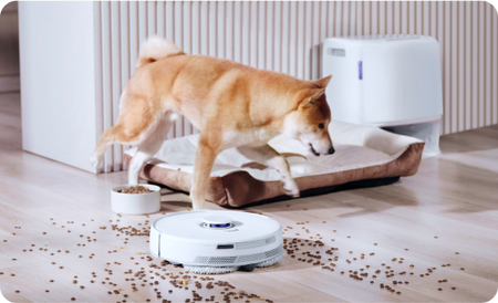 Frame_128818497_ce0da964-5d5b-4193-b5c5-051179f84d0f