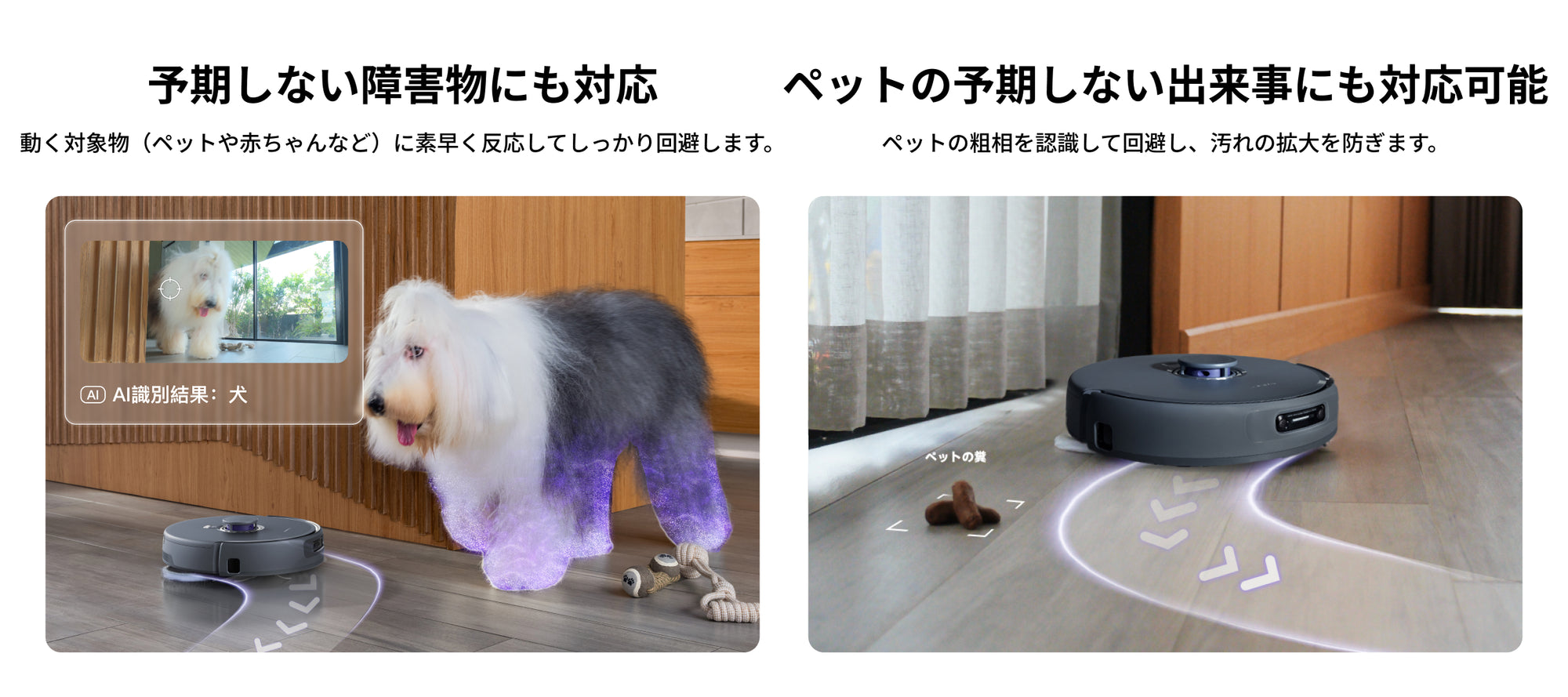 JP_DTC_PC04_c1a9df61-96b0-4a25-a767-71bd692099d7