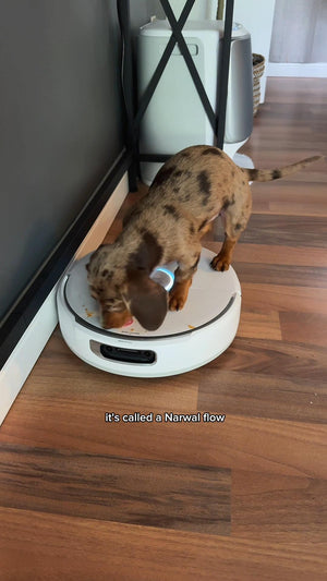 Nottheworstcleaner_cover