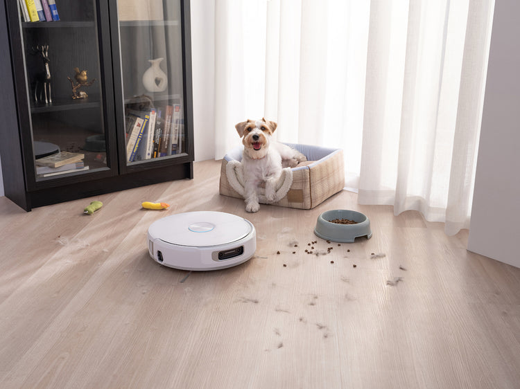 Narwal Flow ロボット掃除機 | Narwal 公式サイト - Narwal Japan