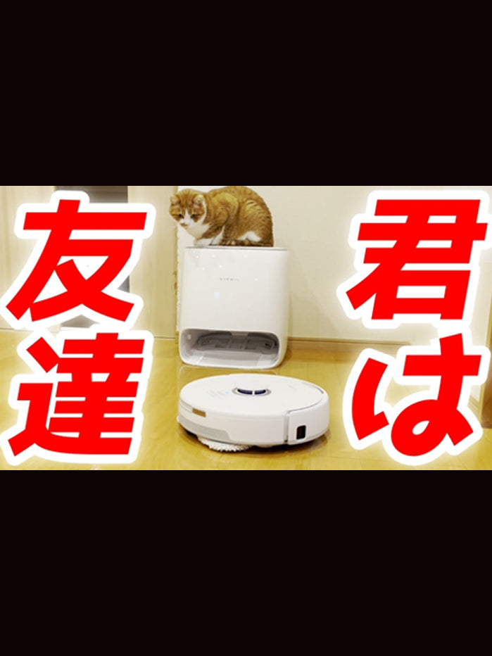 h52_f3bd774d-4aa9-426e-b642-3dd7239b23ff