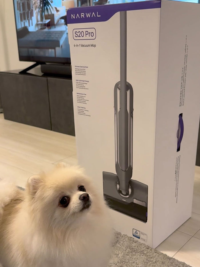 h5_41ec0776-0780-4703-a7cd-b85191b031f4