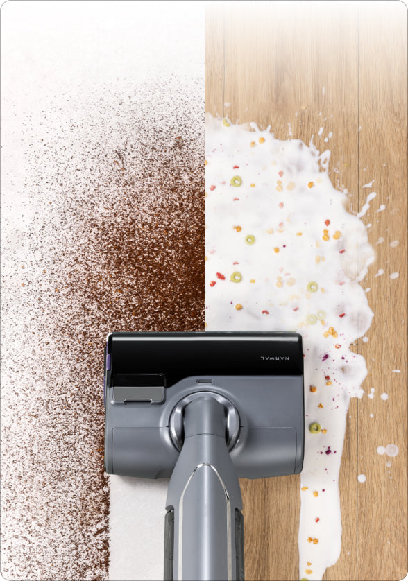 img_d30b9d10-4a6a-443a-91a3-57cfc6000246