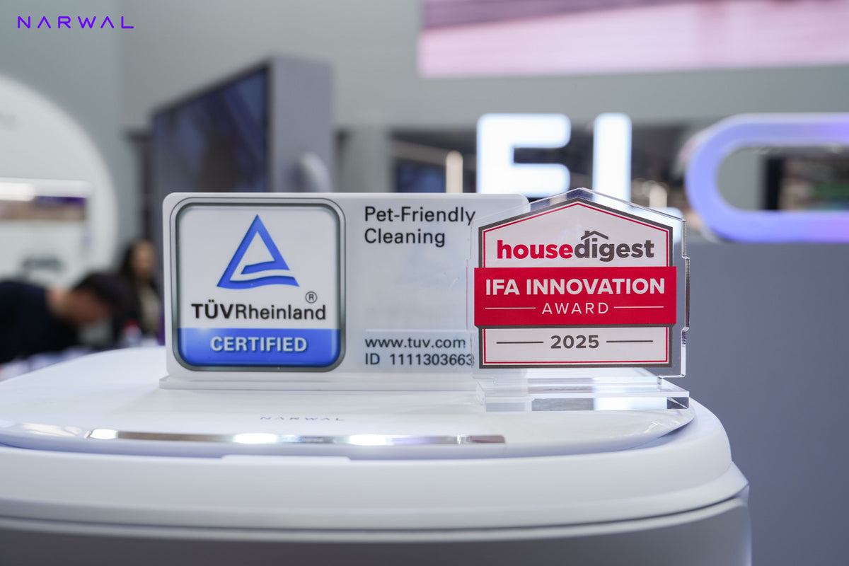 lQDPJx3J9fiTOCXNBCvNBkCwVermCbS7E_gIoNnNJKaXAA_1600_1067