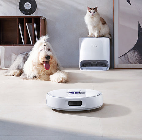 pet_28a444a1-74fa-4dcf-8743-30cd5b3e7b93